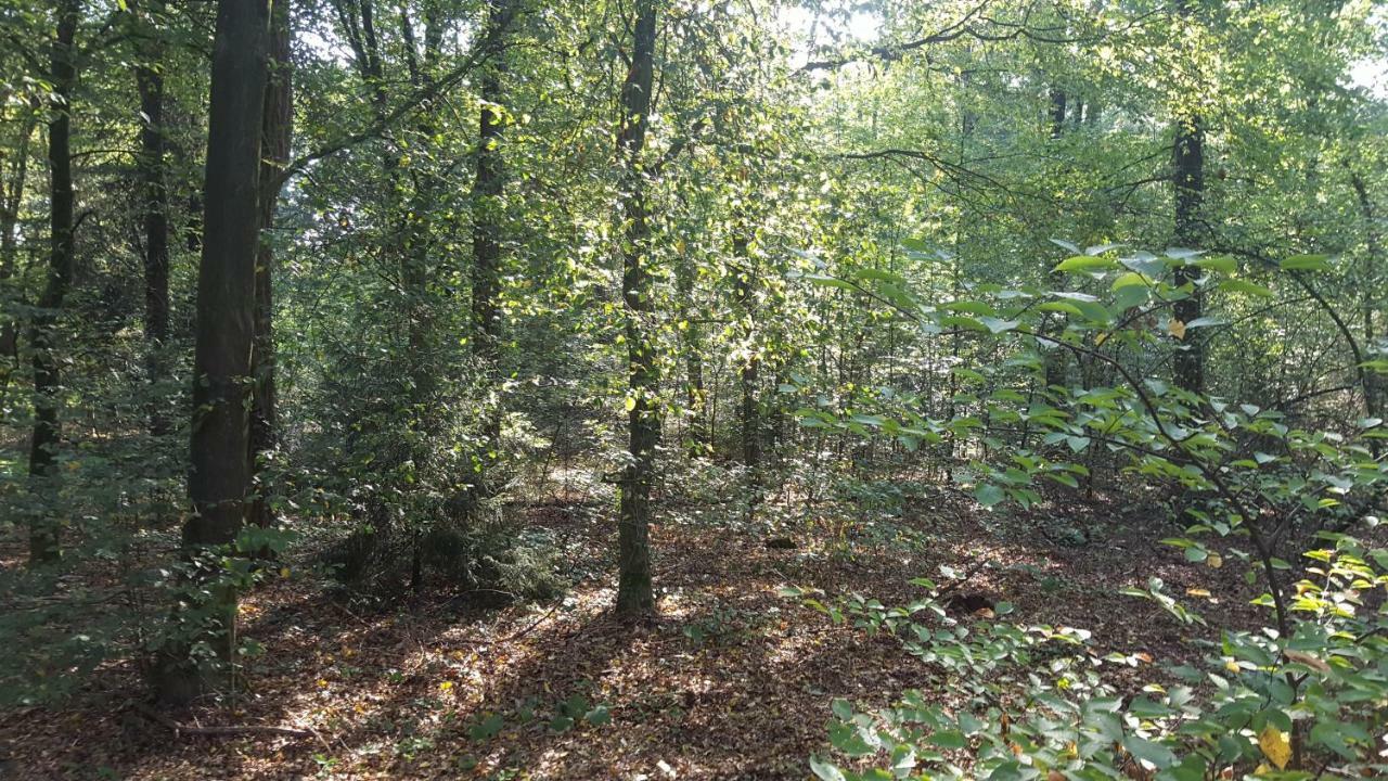 Chalet Bosrust Wolfheze Zewnętrze zdjęcie